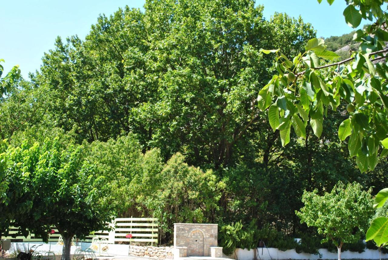 Guesthouse Eleftherios Kalawrita Zewnętrze zdjęcie