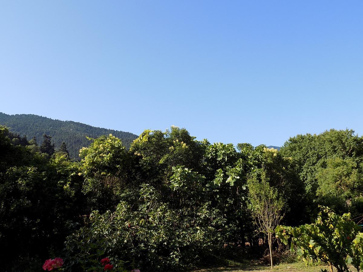 Guesthouse Eleftherios Kalawrita Zewnętrze zdjęcie