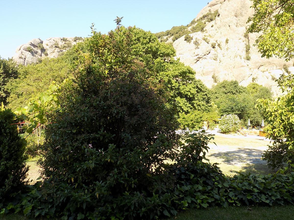 Guesthouse Eleftherios Kalawrita Zewnętrze zdjęcie