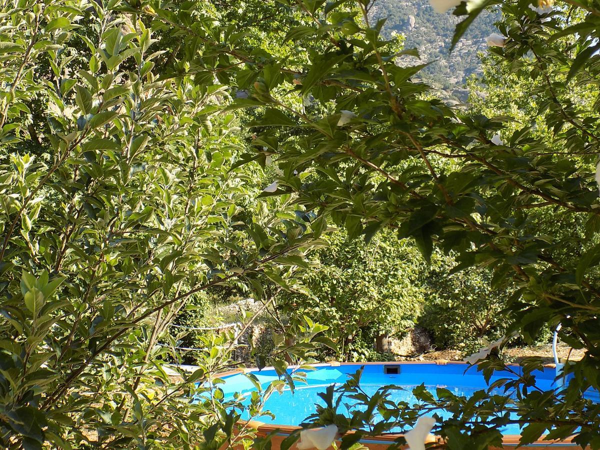 Guesthouse Eleftherios Kalawrita Zewnętrze zdjęcie